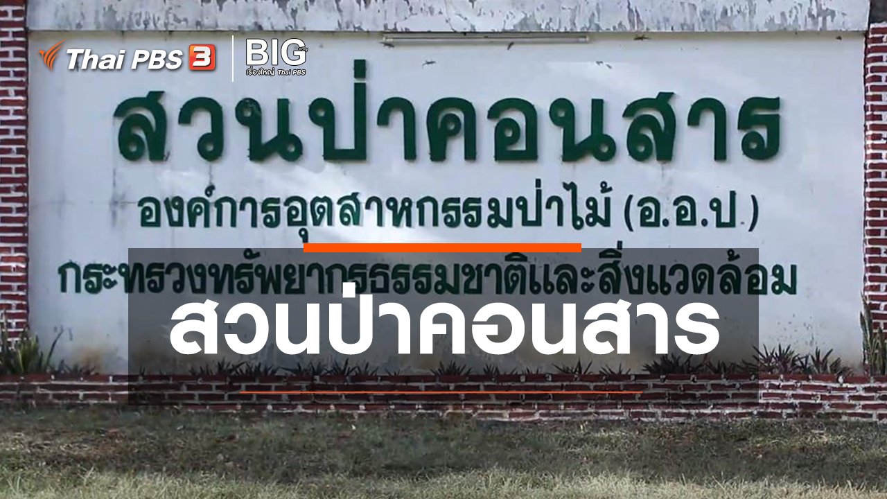 Big Story เรื่องใหญ่ Thai PBS - Clip Story : สวนป่าคอนสาร