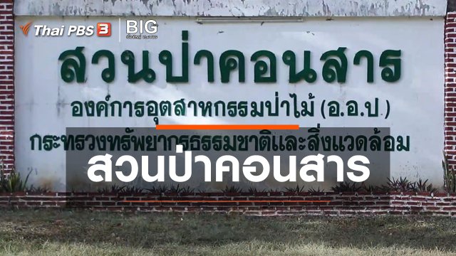 ​Clip Story : สวนป่าคอนสาร