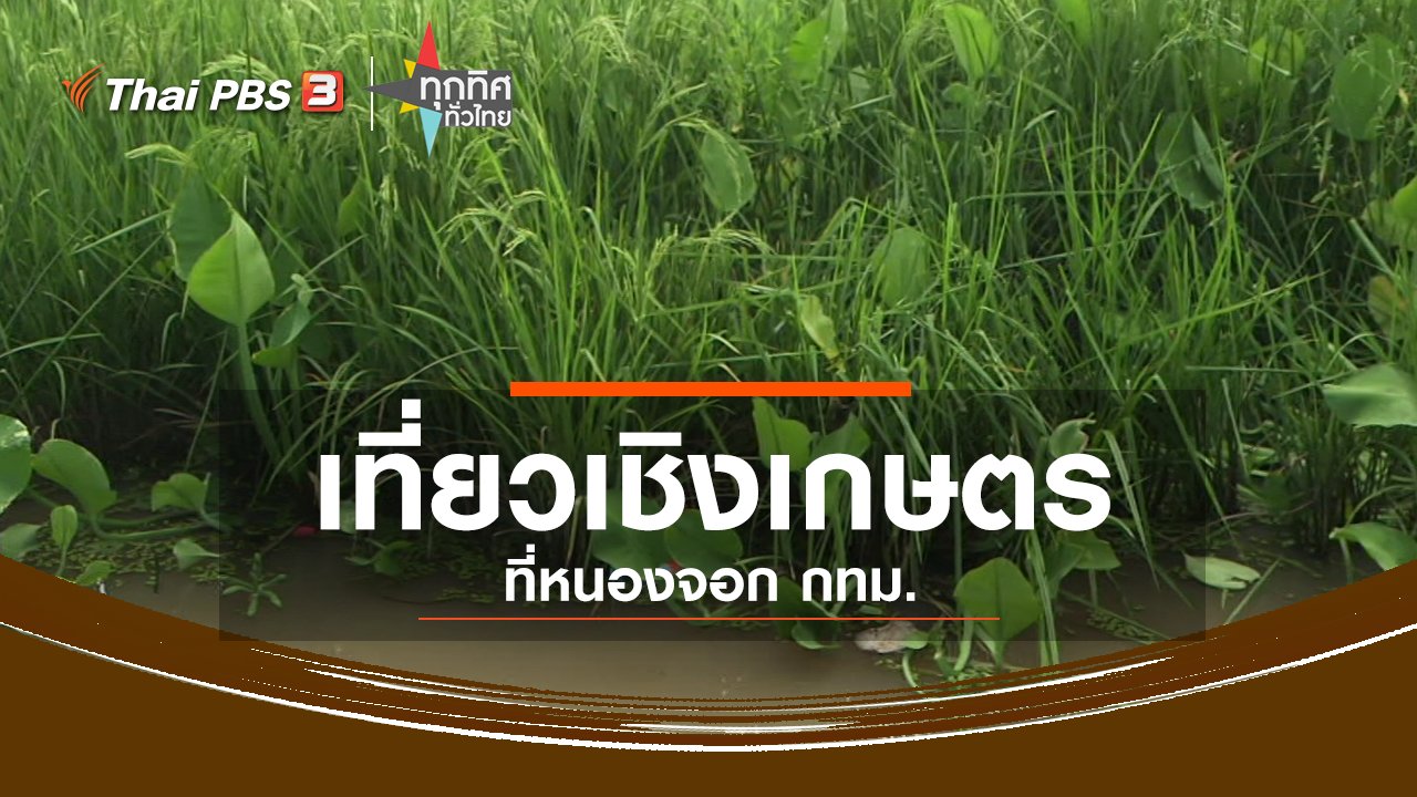 ทุกทิศทั่วไทย - ชุมชนทั่วไทย : เที่ยวเชิงเกษตร เขตหนองจอก กทม.