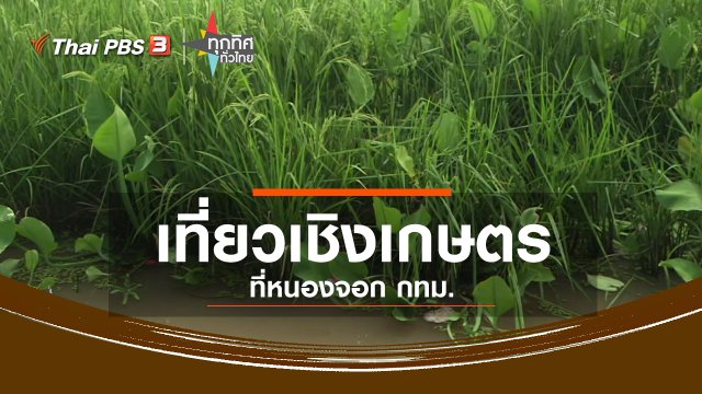 ชุมชนทั่วไทย : เที่ยวเชิงเกษตร เขตหนองจอก กทม.