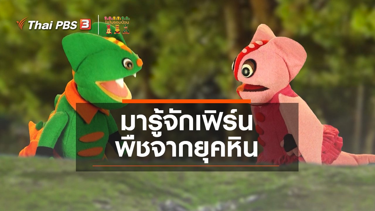 TataTitiToto ไดโนมหัศจรรย์ - เกร็ดน่ารู้กับตาต้าตีตี้โตโต้ : มารู้จักเฟิร์นพืชจากยุคหิน