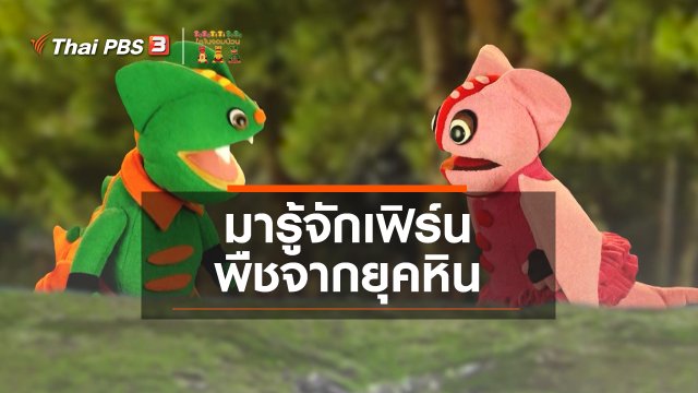 ​เกร็ดน่ารู้กับตาต้าตีตี้โตโต้ : มารู้จักเฟิร์นพืชจากยุคหิน