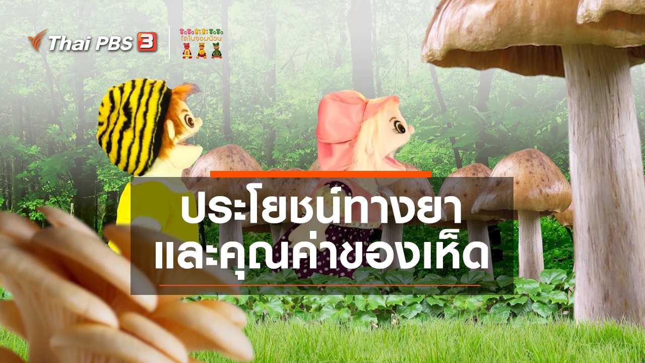 TataTitiToto ไดโนมหัศจรรย์ - เกร็ดน่ารู้กับตาต้าตีตี้โตโต้ : ประโยชน์ทางยาและคุณค่าของเห็ด