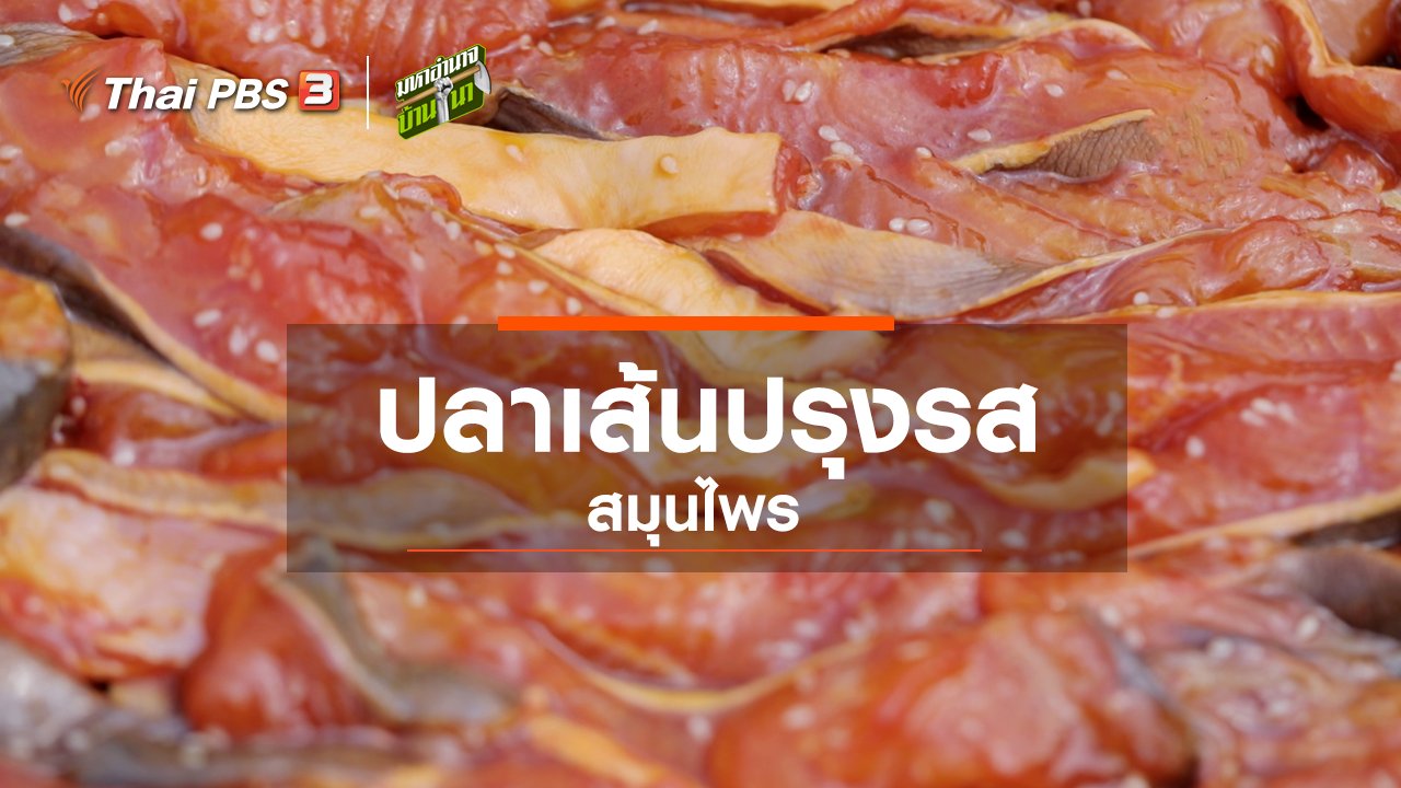 มหาอำนาจบ้านนา - สูตรลับฉบับบ้านนา : ปลาเส้นปรุงรสสมุนไพร