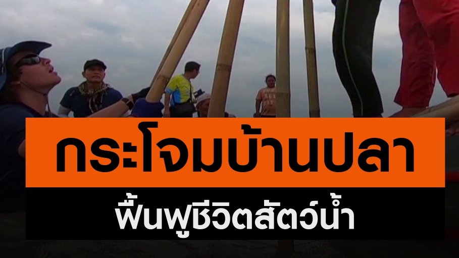 2 องศา วิกฤตอากาศเปลี่ยน - "กระโจมบ้านปลา" แหล่งอนุบาลชีวิตสัตว์น้ำ