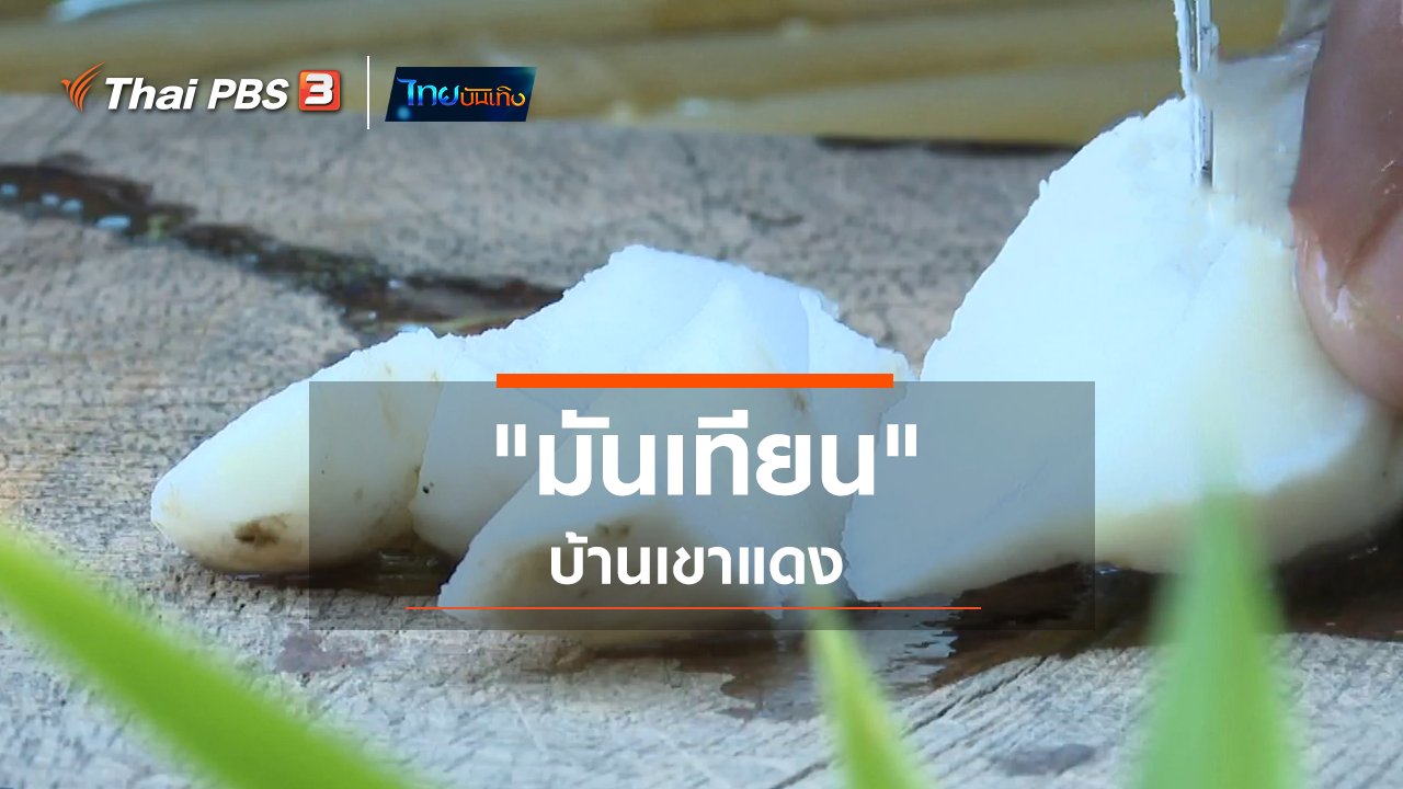 ไทยบันเทิง - อิ่มมนต์รส : "มันเทียน" บ้านเขาแดง