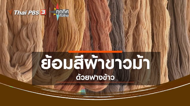 ชุมชนทั่วไทย : ย้อมสีผ้าขาวม้าด้วยฟางข้าว