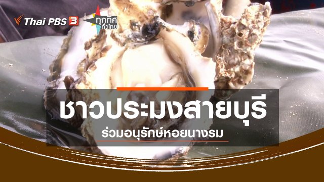 ชุมชนทั่วไทย : ชาวประมงสายบุรีร่วมอนุรักษ์หอยนางรม