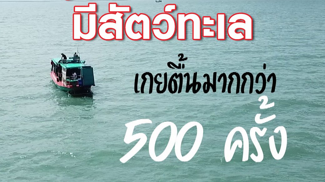 2 องศา วิกฤตอากาศเปลี่ยน - รู้หรือไม่...ปี 2560 มีสัตว์ทะเลเกยตื้นมากกว่า 500 ครั้ง!!