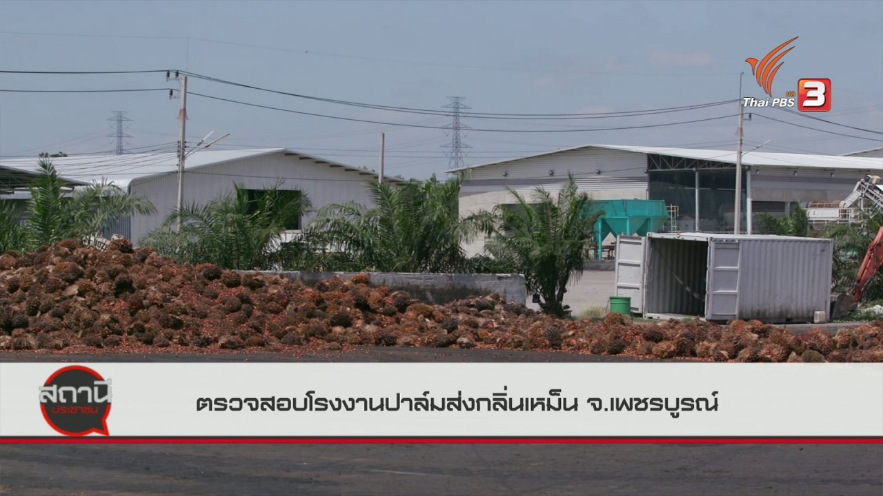 สถานีประชาชน - สถานีร้องเรียน : ตรวจสอบโรงงานปาล์มส่งกลิ่นเหม็น จ.เพชรบูรณ์