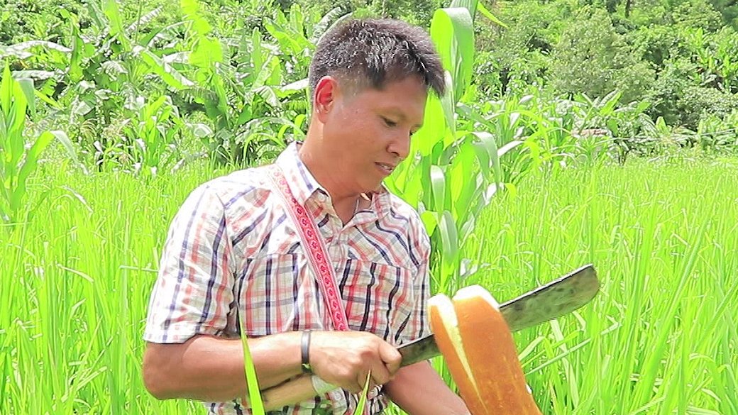 ซีรีส์วิถีคน - เก็บแตงกินกันสด ๆ ทั้งกรอบ ทั้งหวานอร่อย