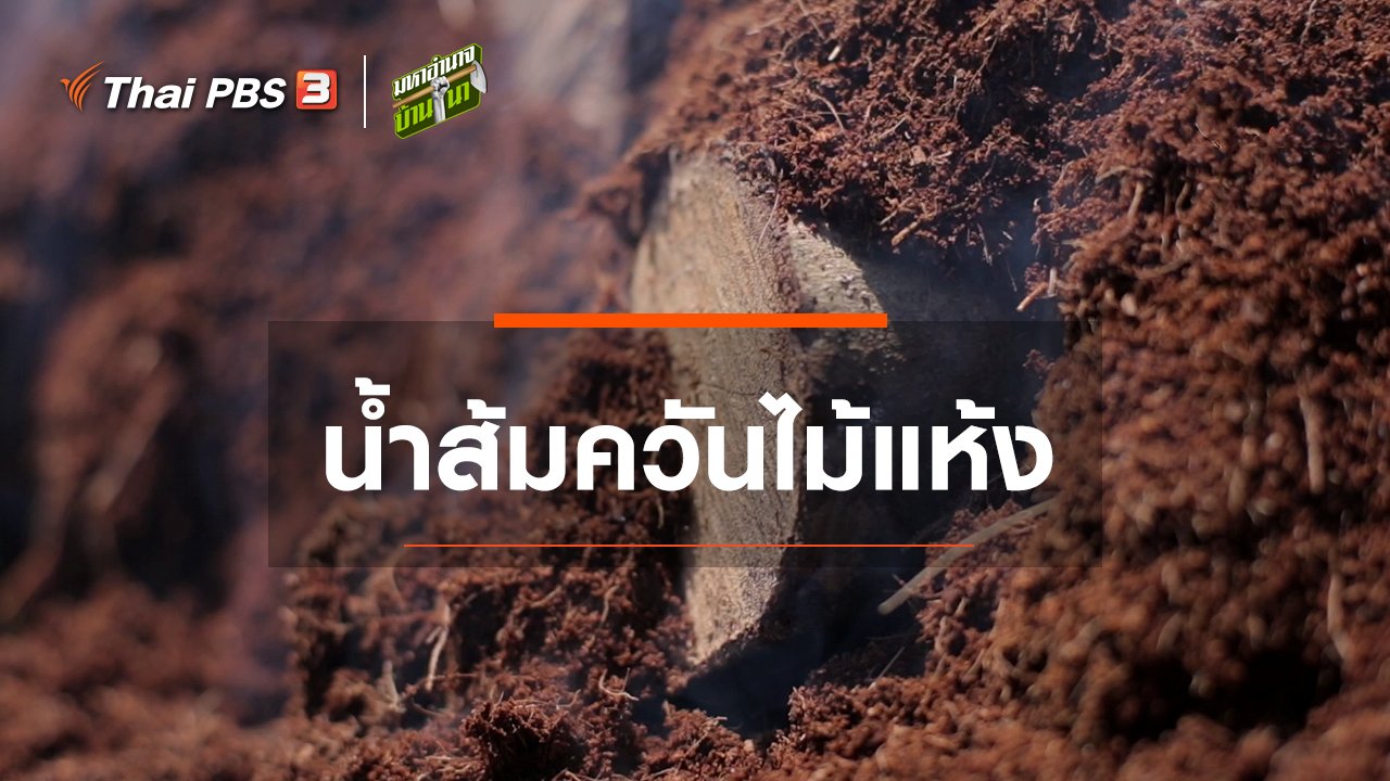 มหาอำนาจบ้านนา - สูตรลับฉบับบ้านนา : น้ำส้มควันไม้แห้ง