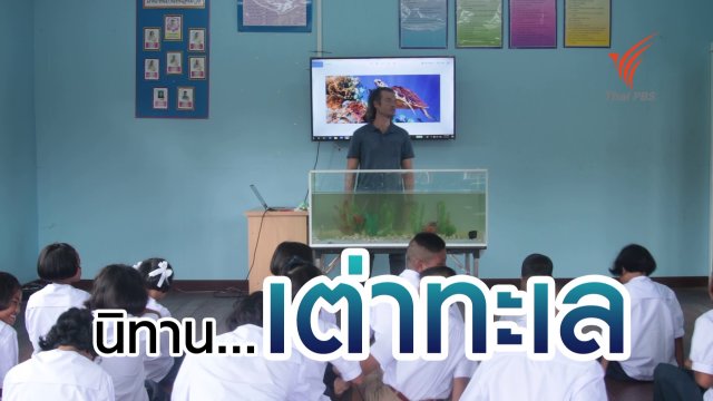 นิทานเต่าทะเล