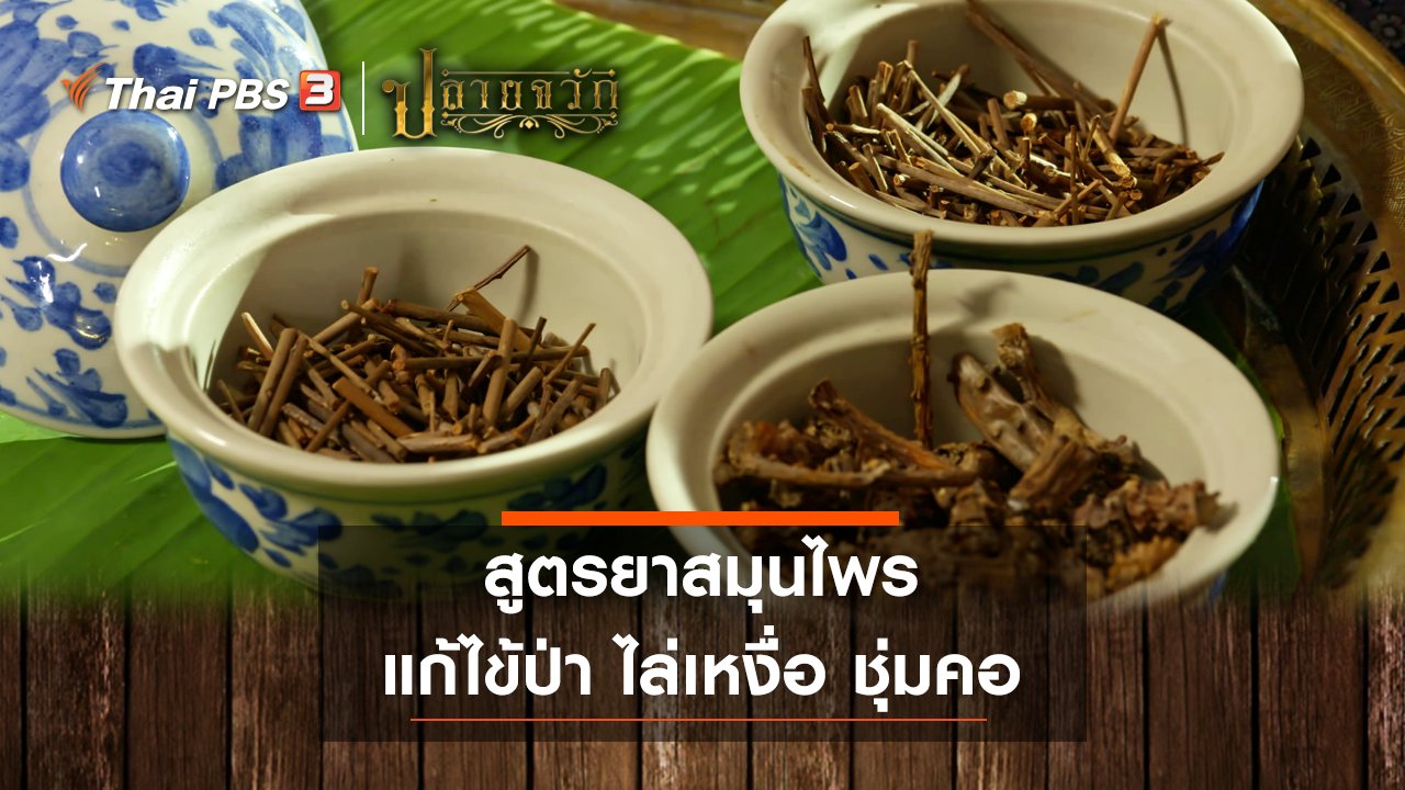 ปลายจวัก - สูตรยาสมุนไพร แก้ไข้ป่า ไล่เหงื่อ ชุ่มคอ