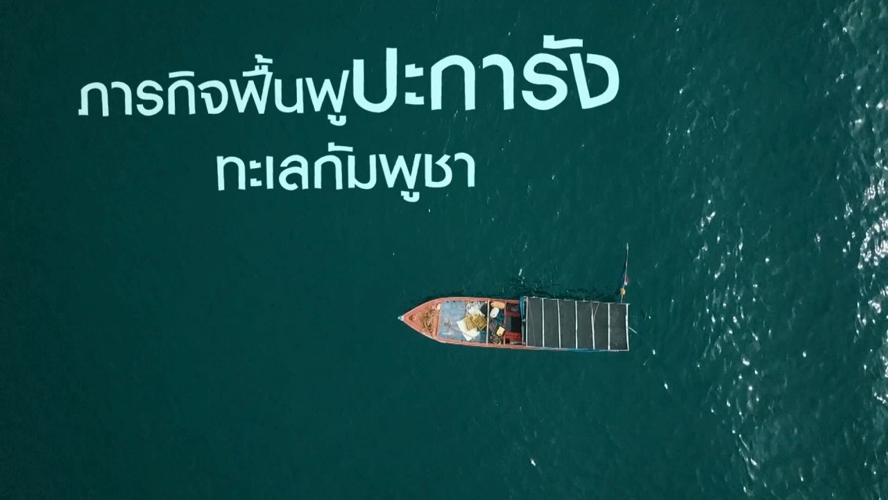 2 องศา วิกฤตอากาศเปลี่ยน - ปะการังเทียม ช่วยฟื้นฟูโลกใต้ทะเล