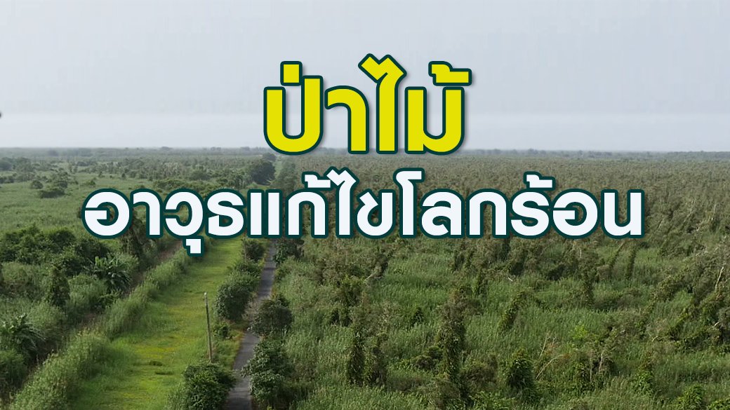 2 องศา วิกฤตอากาศเปลี่ยน - "ป่าไม้" อาวุธแก้ไขโลกร้อน