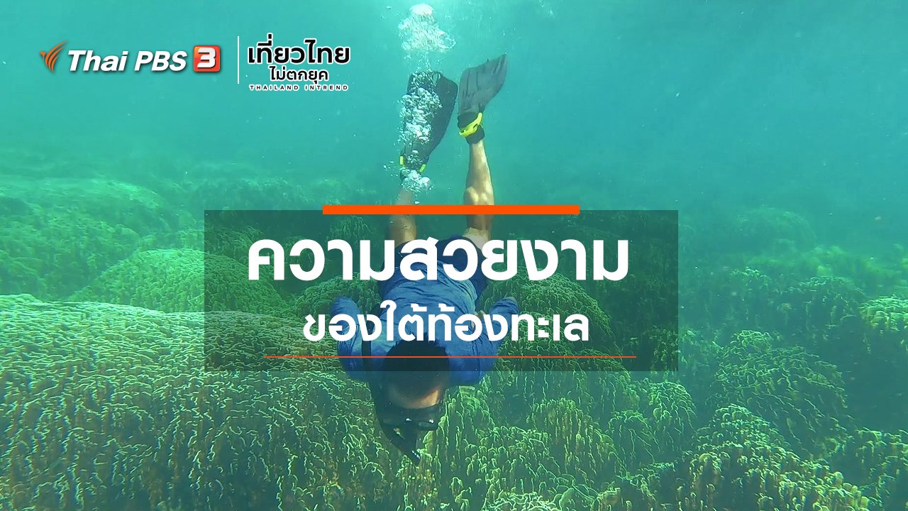เที่ยวไทยไม่ตกยุค - เที่ยวทั่วไทย : ความสวยงามของใต้ท้องทะเล