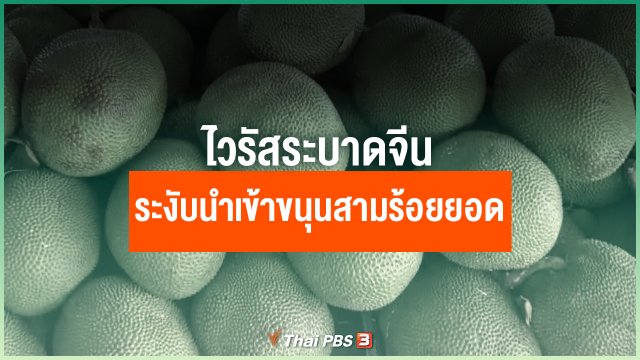 ​ไวรัสระบาดจีนระงับนำเข้าขนุนสามร้อยยอด