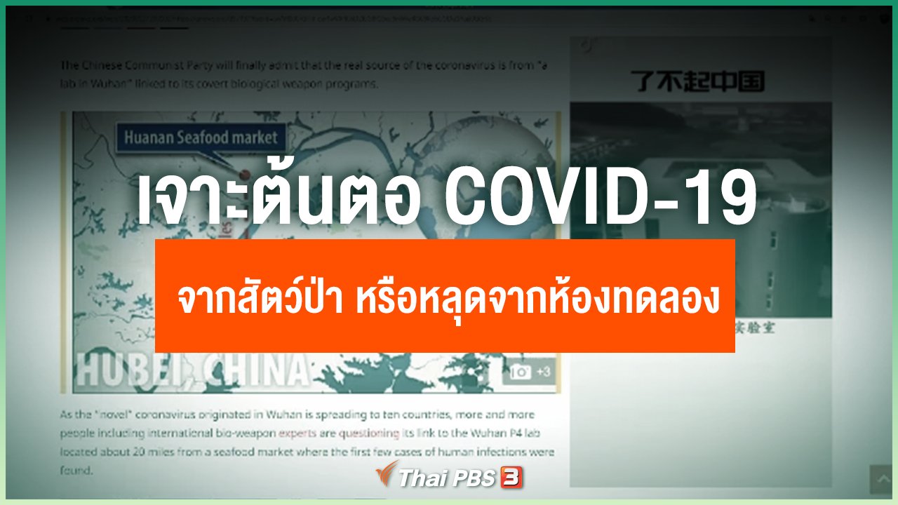 Coronavirus - เจาะต้นตอ COVID-19 มาจากสัตว์ป่า หรือ หลุดมาจากห้องทดลองในจีน