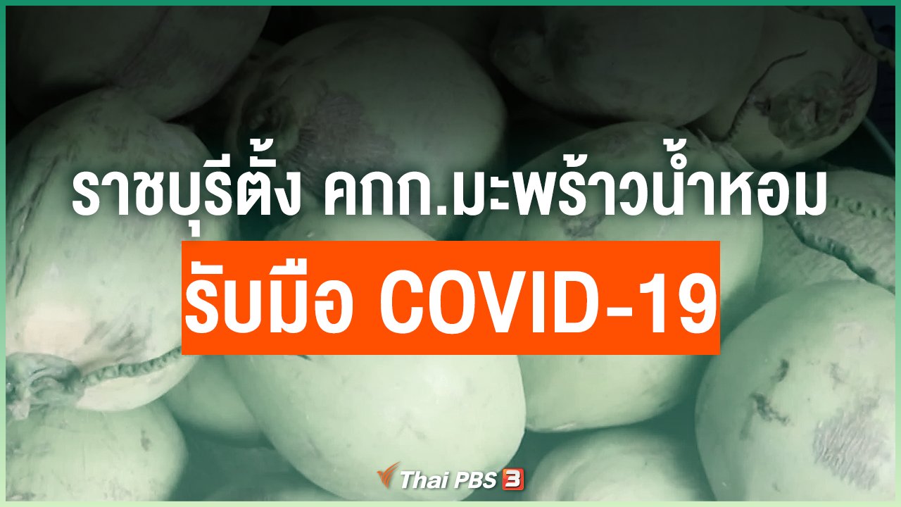 Coronavirus - ราชบุรีตั้งคณะกรรมการมะพร้าวน้ำหอมรับมือ COVID-19