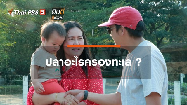 ​ปลาอะไรครองทะเล ?