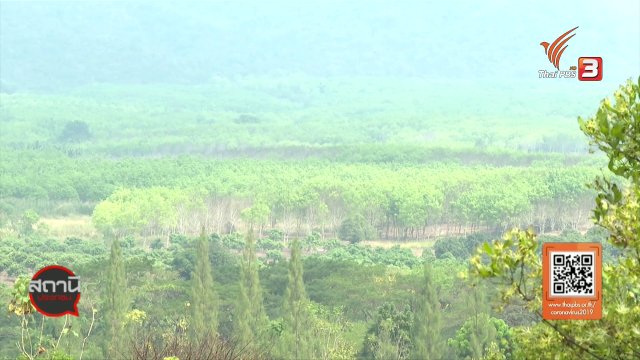 ​สถานีร้องเรียน : ปัญหาช้างป่ารุกที่ทำกิน 4 หมู่บ้าน ต.หาดขาม อ.กุยบุรี จ.ประจวบคีรีขันธ์