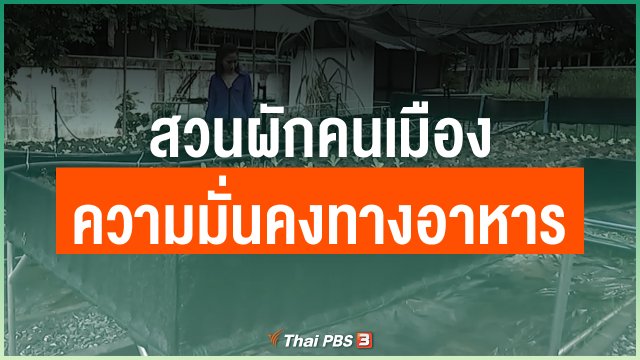 สวนผักคนเมือง ความมั่นคงทางอาหารของคนกรุง