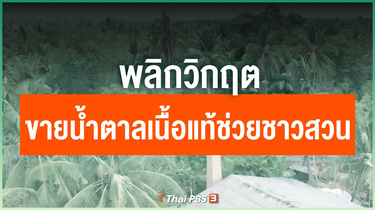 Coronavirus - พลิกวิกฤต ขายน้ำตาลเนื้อแท้ช่วยชาวสวน