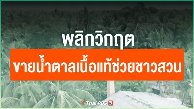 พลิกวิกฤต ขายน้ำตาลเนื้อแท้ช่วยชาวสวน