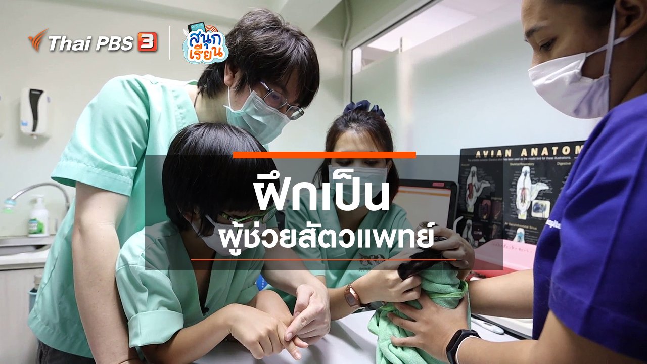 สนุกเรียน - วิชาประสบการณ์ชีวิต : ฝึกเป็นผู้ช่วยสัตวแพทย์