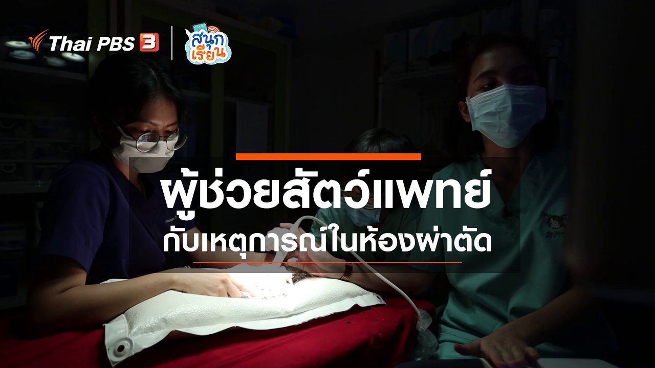 สนุกเรียน - วิชาประสบการณ์ชีวิต : ผู้ช่วยสัตว์แพทย์กับเหตุการณ์ในห้องผ่าตัด