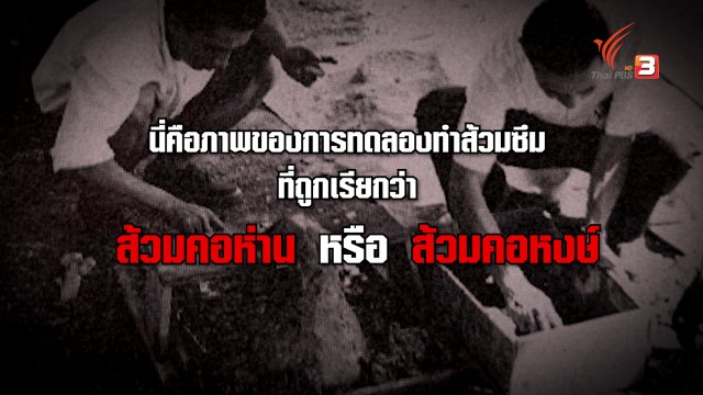 ที่มา "ส้วมคอห่าน" สิ่งประดิษฐ์ใหม่ในอดีต