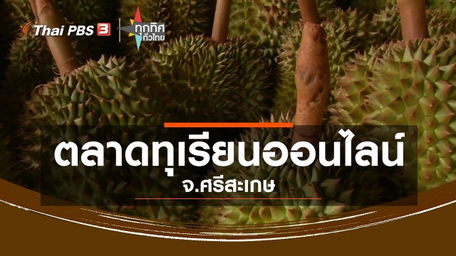 ตลาดทุเรียนออนไลน์ จ.ศรีสะเกษ