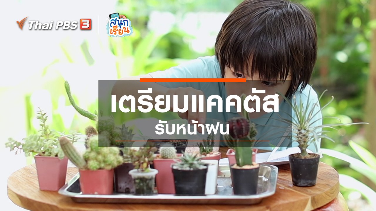 สนุกเรียน - วิชาชีวิตประสบการณ์ชีวิต : เตรียมแคคตัสรับหน้าฝน