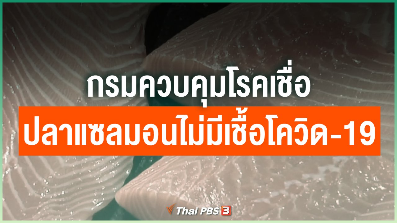 Coronavirus - กรมควบคุมโรคเชื่อปลาแซลมอนไม่มีเชื้อโควิด-19