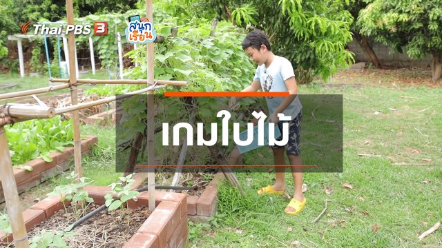 วิชาประสบการณ์ชีวิต : เกมใบไม้