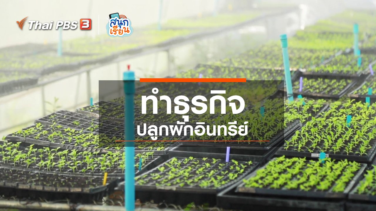 สนุกเรียน - วิชาประสบการณ์ชีวิต : ทำธุรกิจปลูกผักอินทรีย์