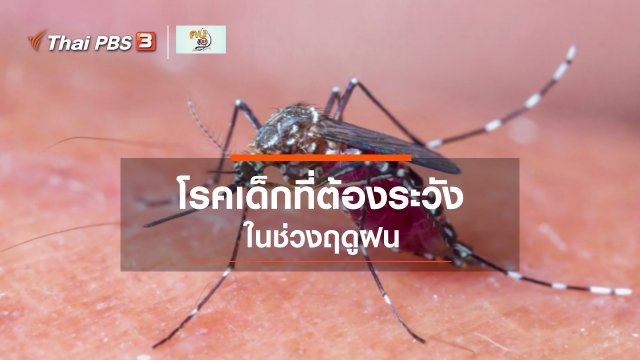 รู้สู้โรค : โรคเด็กที่ต้องระวังในฤดูฝน