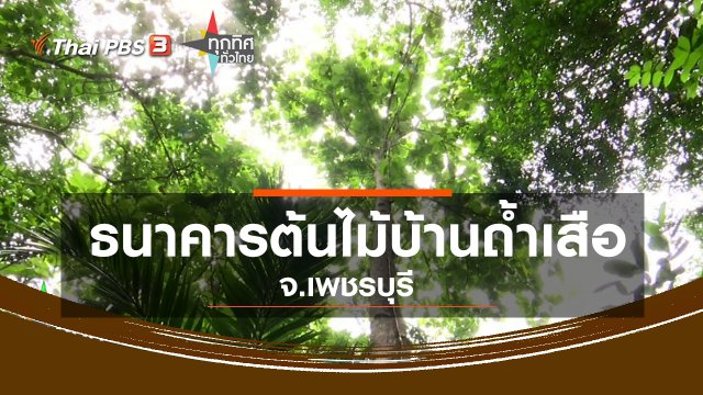 ธนาคารต้นไม้บ้านถ้ำเสือ จ.เพชรบุรี