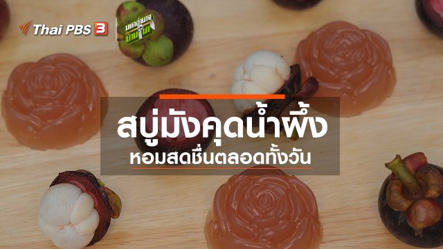 สูตรลับฉบับบ้านนา : สบู่มังคุดน้ำผึ้ง