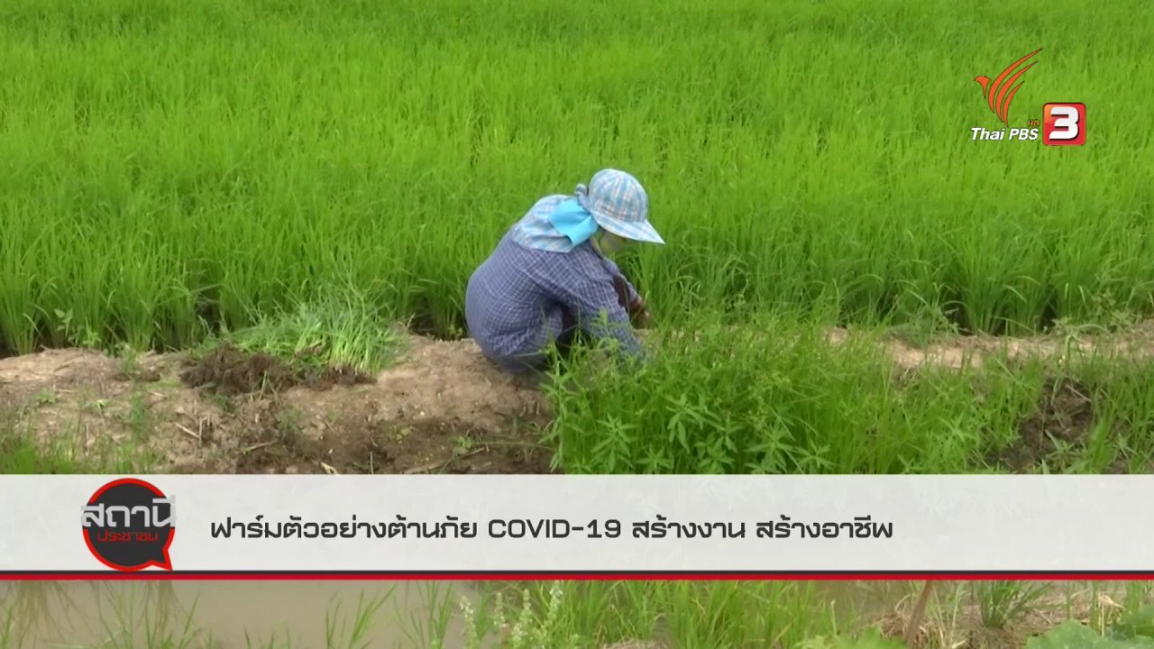 สถานีประชาชน - สถานีร้องเรียน : ฟาร์มตัวอย่างต้านภัย COVID-19 สร้างงาน สร้างอาชีพ จ.อ่างทอง