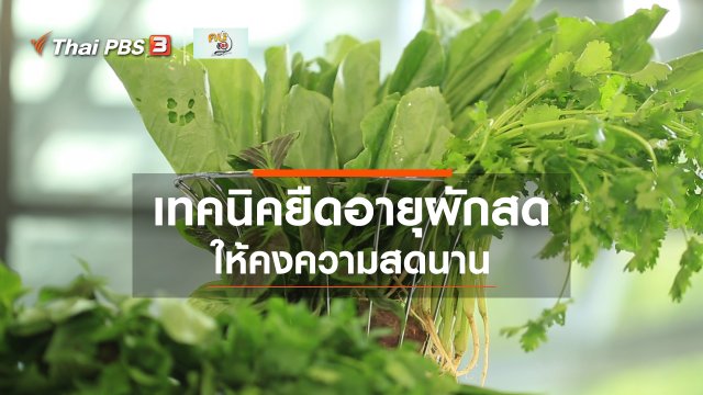กินดี อยู่ดีกับหมอพรเทพ : เทคนิคในการยืดอายุผักสด