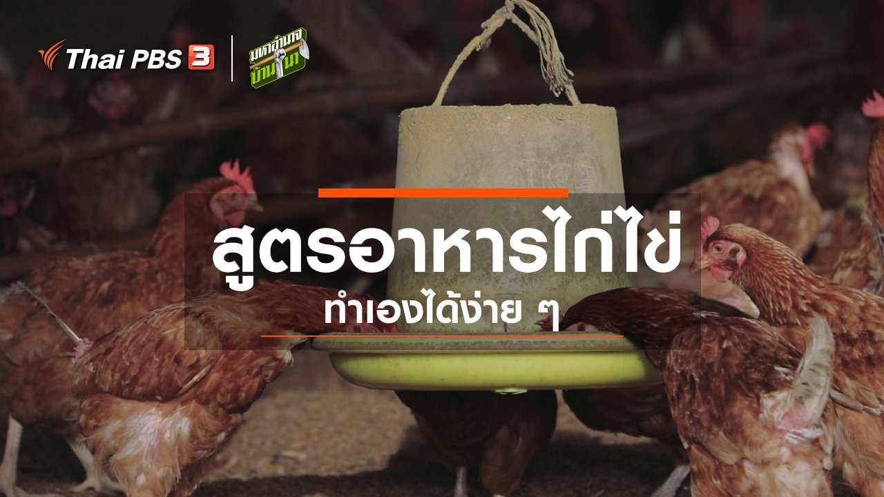 มหาอำนาจบ้านนา - สูตรลับฉบับบ้านนา : สูตรอาหารไก่ไข่