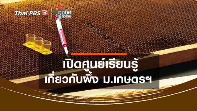 ​เปิดศูนย์เรียนรู้เกี่ยวกับผึ้ง ม.เกษตรฯ