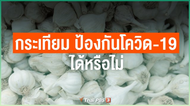 กระเทียม ป้องกันโควิด-19 ได้หรือไม่