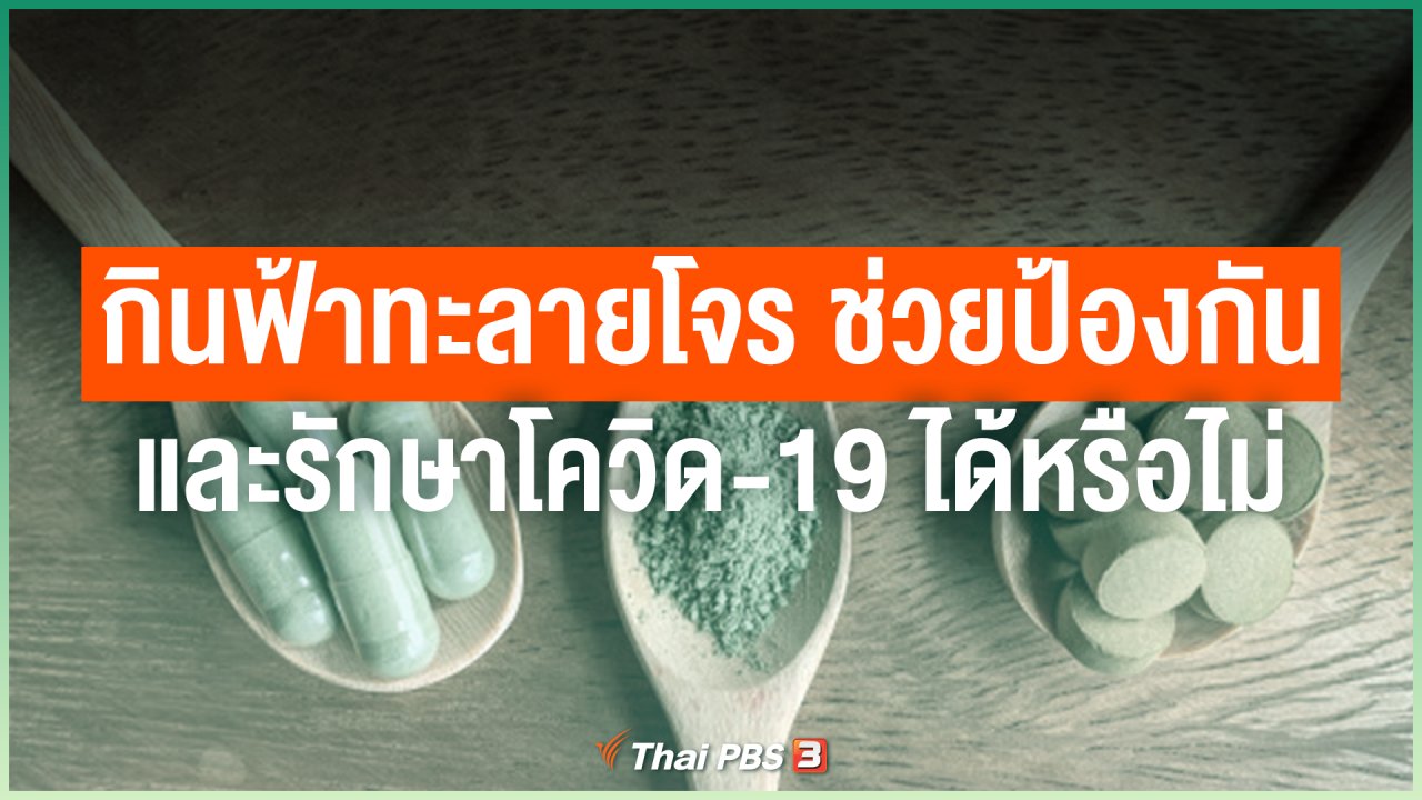 วันใหม่วาไรตี้ - กินฟ้าทะลายโจร ช่วยป้องกันและรักษาโควิด-19 ได้หรือไม่