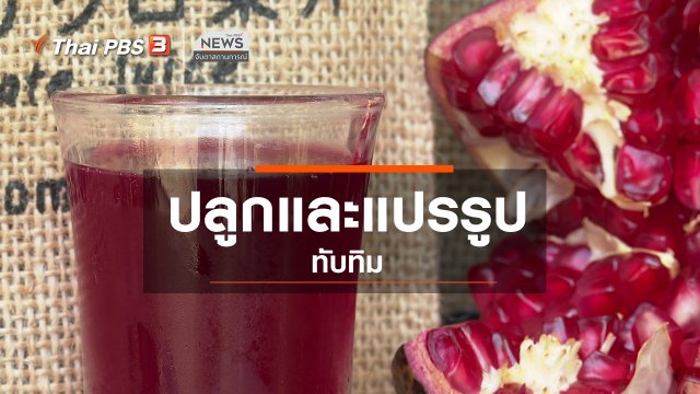 ตะลุยทั่วไทย : ปลูกและแปรรูปทับทิม