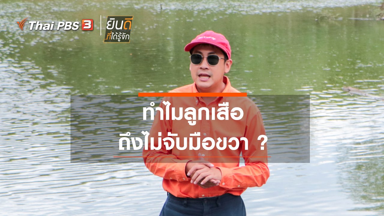 ยินดีที่ได้รู้จัก - ทำไมลูกเสือถึงไม่จับมือขวา ?