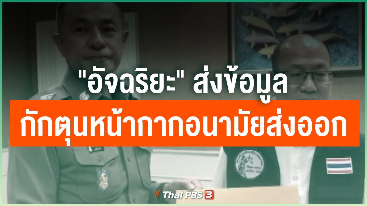 Coronavirus - "อัจฉริยะ" ส่งข้อมูลกักตุนหน้ากากอนามัยส่งออก
