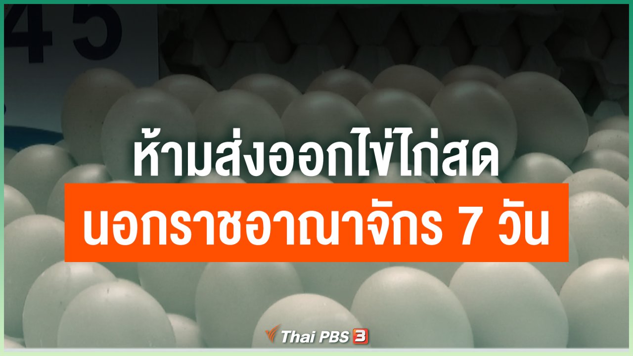 Coronavirus - ห้ามส่งออกไข่ไก่สดออกนอกราชอาณาจักรเป็นเวลา 7 วัน